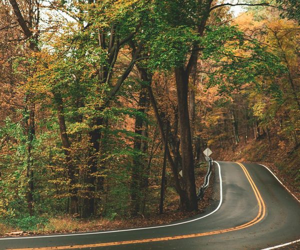 A path winding through a forest, symbolizing a long-term journey and consistency.